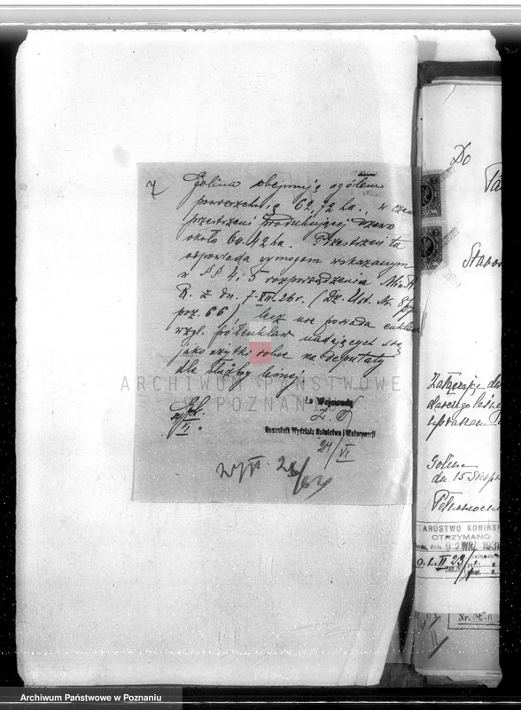 Obraz 11 z jednostki "Majątek Goliński powiat koniński /nadzór nad gospodarką leśna/"