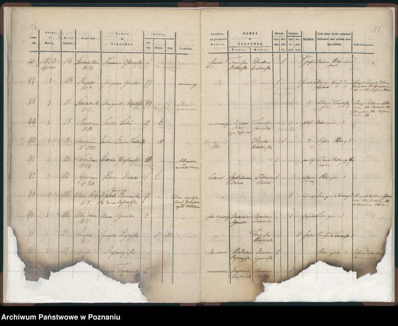 Obraz 11 z jednostki "Księga zgonów"