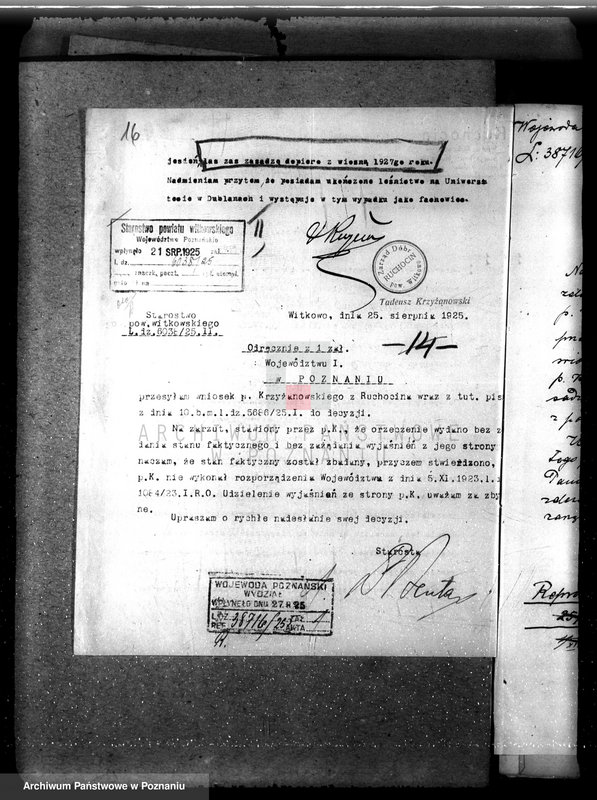 Obraz 20 z jednostki "Nadzór nad gospodarką w lasach majętności Ruchocin powiecie gnieźnieńskim"