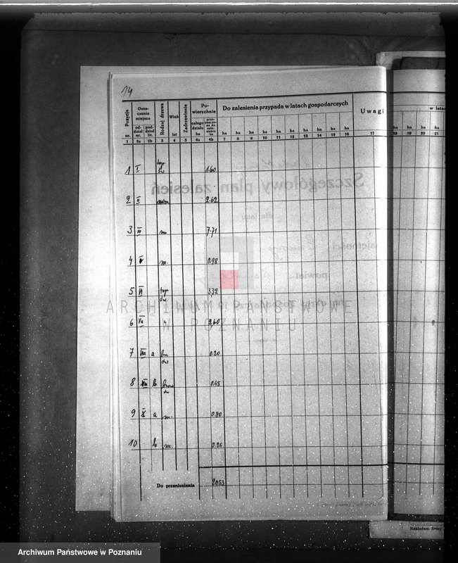 Obraz 18 z jednostki "Dodatkowy plan urządzenia gospodarstwa leśnego dla lasu majętności Grzuszyn powiat szamotulski"