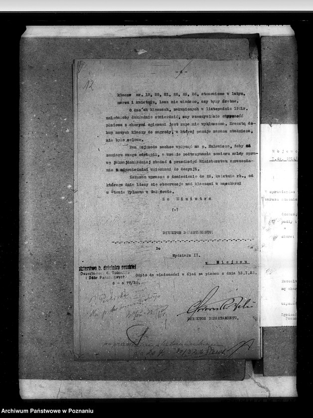 Obraz 17 z jednostki "Zaraza stadnicza"