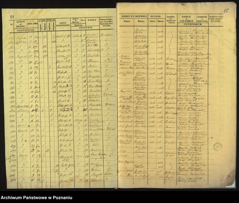 Obraz 10 z jednostki "Księga urodzin"