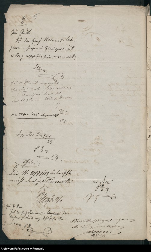 Obraz 8 z jednostki "A. betr. die Familie von Skarzewski"