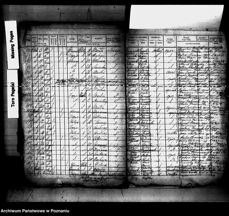 Obraz 8 z jednostki "Księga urodzeń"