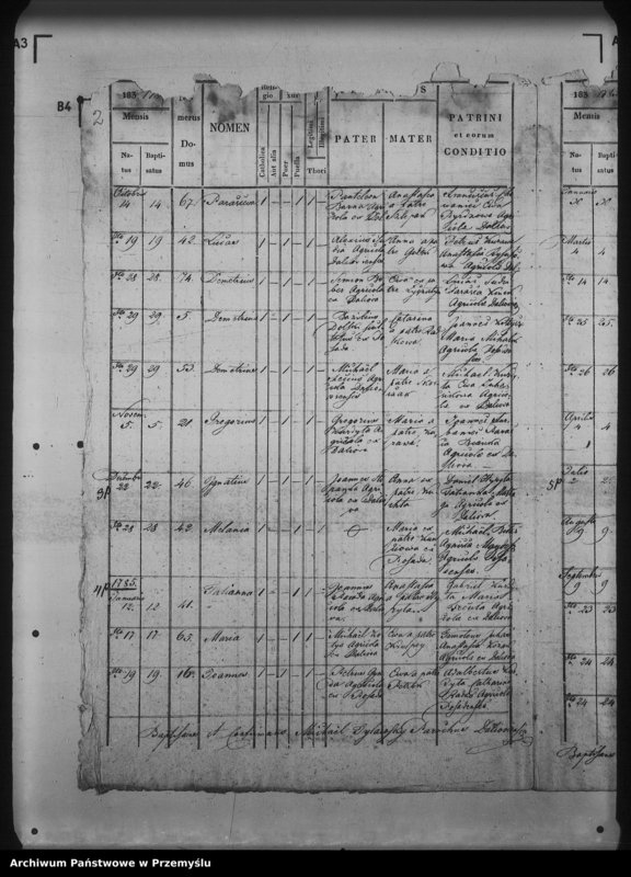 Obraz 6 z jednostki "[Kopie ksiąg metrykalnych parafii Daliowa z filią Szklary (dekanat Rymanów)]"