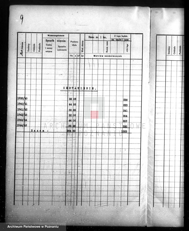 Obraz 13 z jednostki "/Las majątku Wielichowo/"