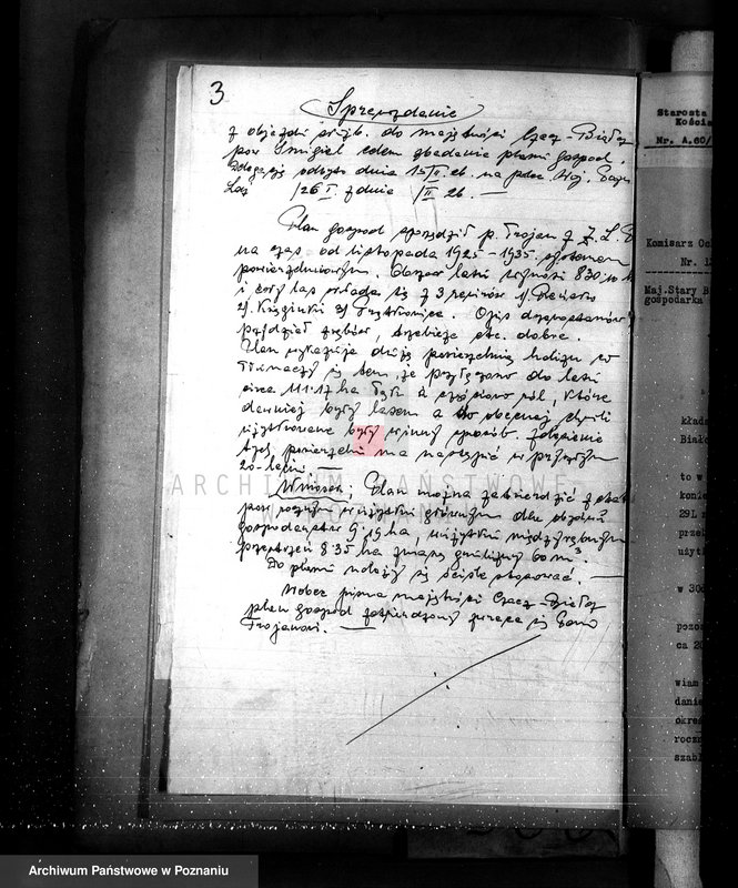 Obraz 7 z jednostki "Nadzór nad gospodarką w lasach majętności Czacz-Białcz powiat kościański"