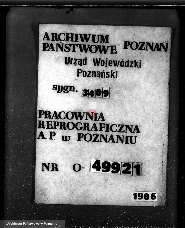 Obraz 19 z jednostki "Majętność Biskupiec powiat koniński /sprawa ustalenia granicy lasu/"