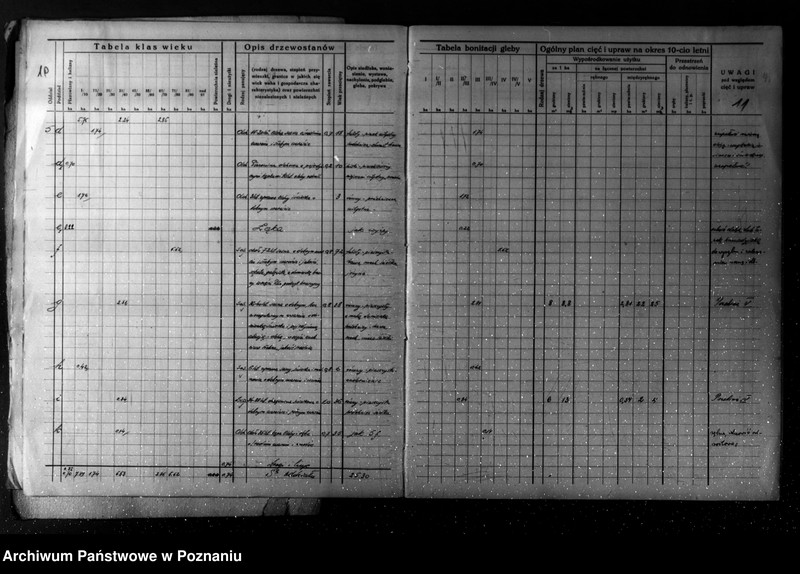 Obraz 10 z jednostki "/Plan urządzania gospodarstwa leśnego dla lasu majątku Turew powiatu kościańskiego 1933-1943/"