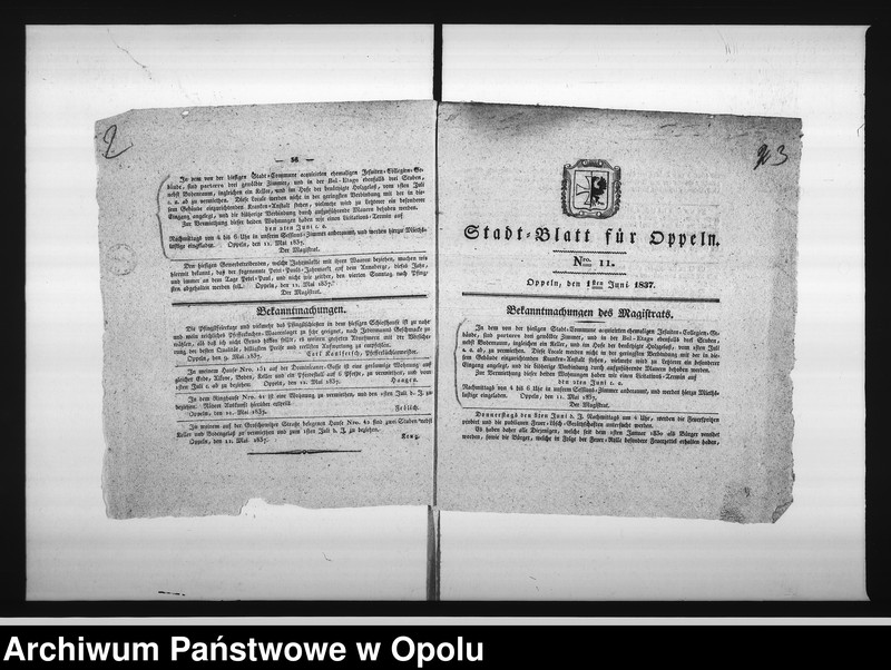 Obraz 7 z jednostki "Acta des Magistrats zu Oppeln betreffend: die Vermiethung zweier Wohnungs - Locale in dem zur Kranken Anstalt acquirirten ehemaligen Jesuiten-Collegien-Gebäude hieselbst Vol. I de Anno 1837"