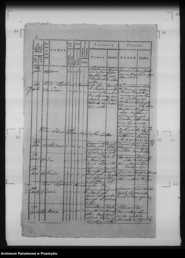 Obraz 8 z jednostki "[Kopie ksiąg metrykalnych parafii Boratyn wieś Boratyn (dekanat Bełz)]"