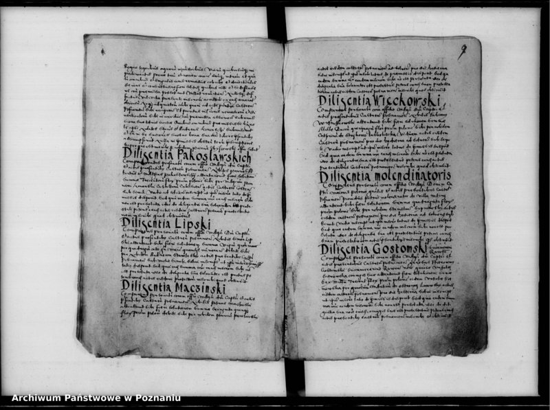 Obraz 12 z jednostki "Inscriptiones, relationes [inducta]"