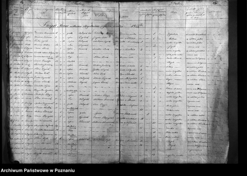 Obraz 13 z jednostki "Duplicatum natorum, copulatorum, mortuorum"