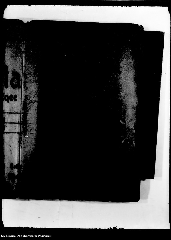 Obraz 4 z jednostki "Fundacja Garczyńskiego w Poznaniu"