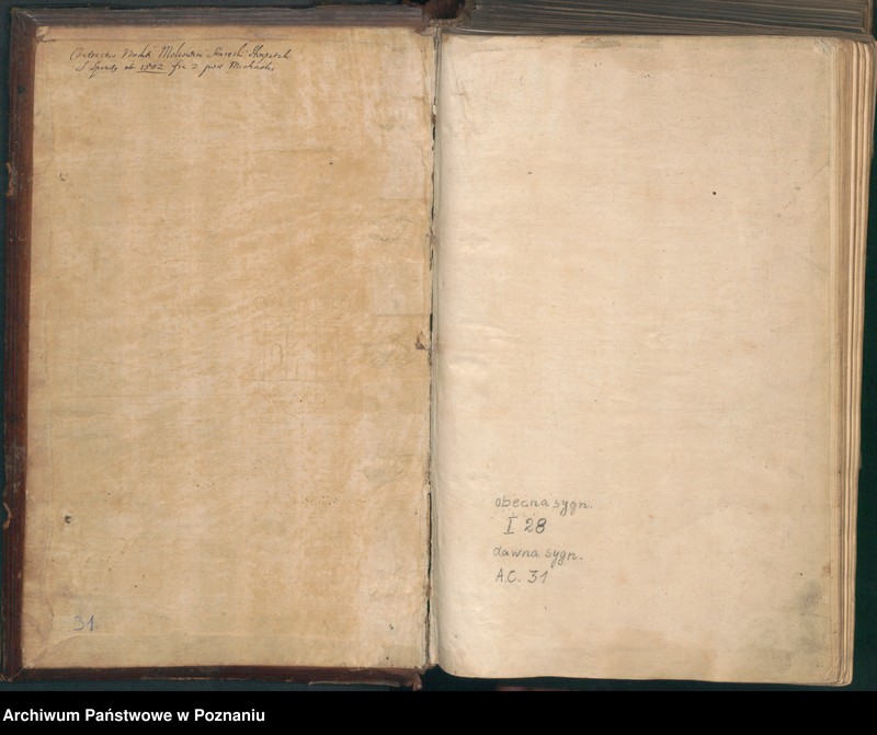 Obraz 4 z jednostki "Acta sequentia coram spectabili consulatu civitatis Posnaniensis."