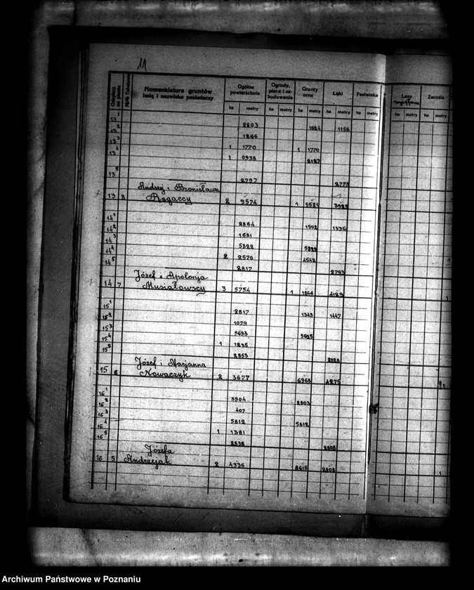 Obraz 15 z jednostki "Rejestry pomiarowe gruntów wydzielonych z majątku Łukom i oddanych w zamian za serwituty na własność wsi Myszakówek powiatu konińskiego"