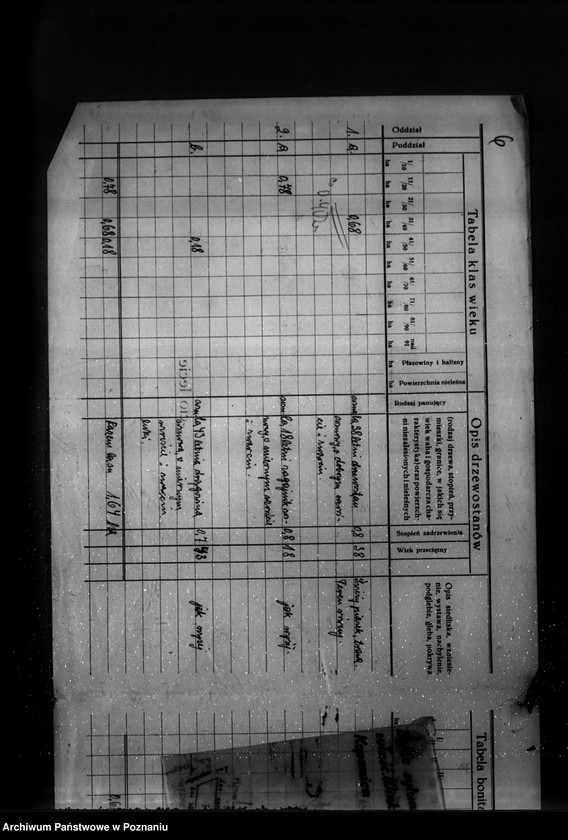 Obraz 11 z jednostki "/Program gospodarstw leśnych znajdujących się na terenie powiatu wolsztyńskiego/"