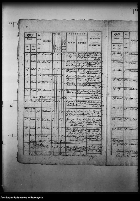 Obraz 10 z jednostki "[Kopie ksiąg metrykalnych parafii Powroźnik (dekanat Muszyna)]"