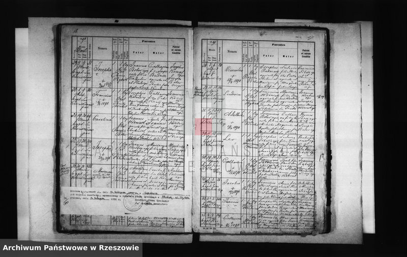 image.from.unit.number "Księga urodzeń - Kąkolówka"