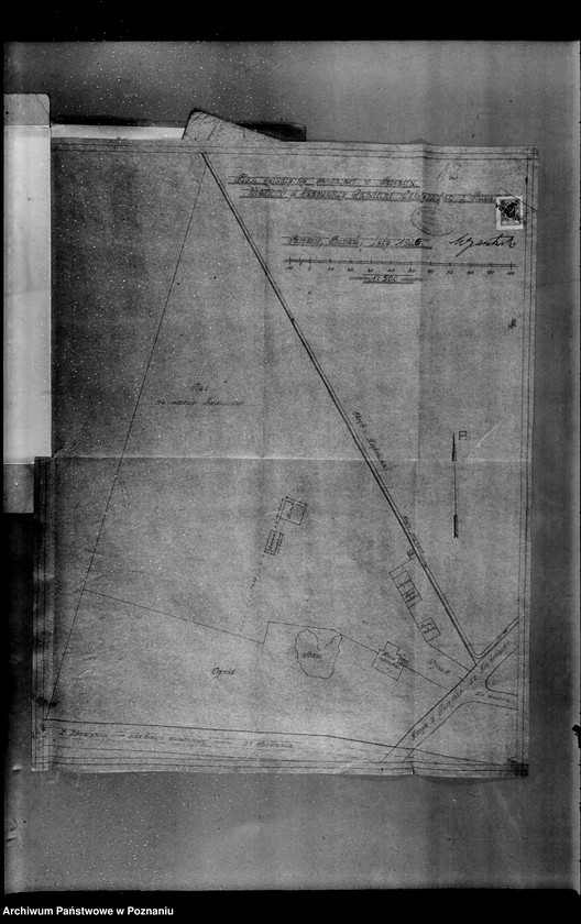Obraz 16 z jednostki "Tartak parowy w Palędziu powiat poznański M. Garstecki nr woj. 2295"