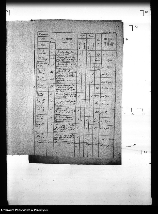 Obraz 17 z jednostki "[Kopie ksiąg metrykalnych parafii Rozdżałów z filią Korczyn (dekanat Tartaków)]"