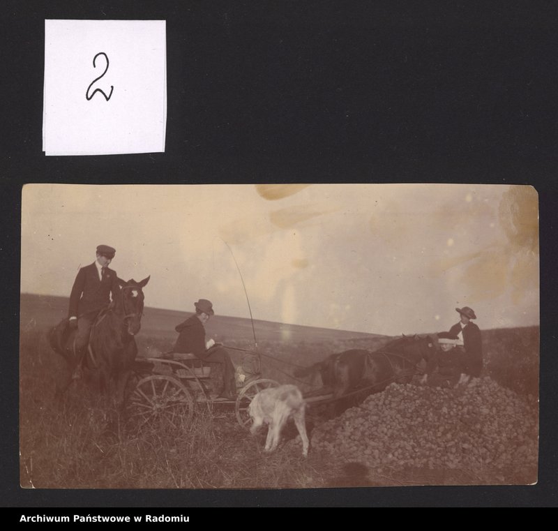 Obraz 6 z kolekcji "Najlepszy przyjaciel człowieka111"