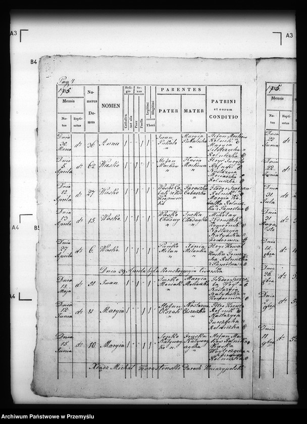 Obraz 8 z jednostki "[Kopie ksiąg metrykalnych parafii Kniażpol z filią Kropiwnik (dekanat Dobromil)]"
