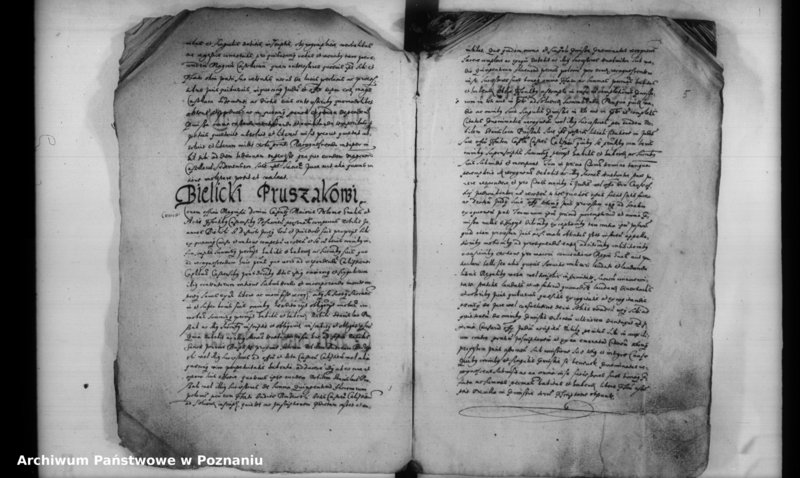 Obraz 8 z jednostki "Inscriptiones [inducta]"