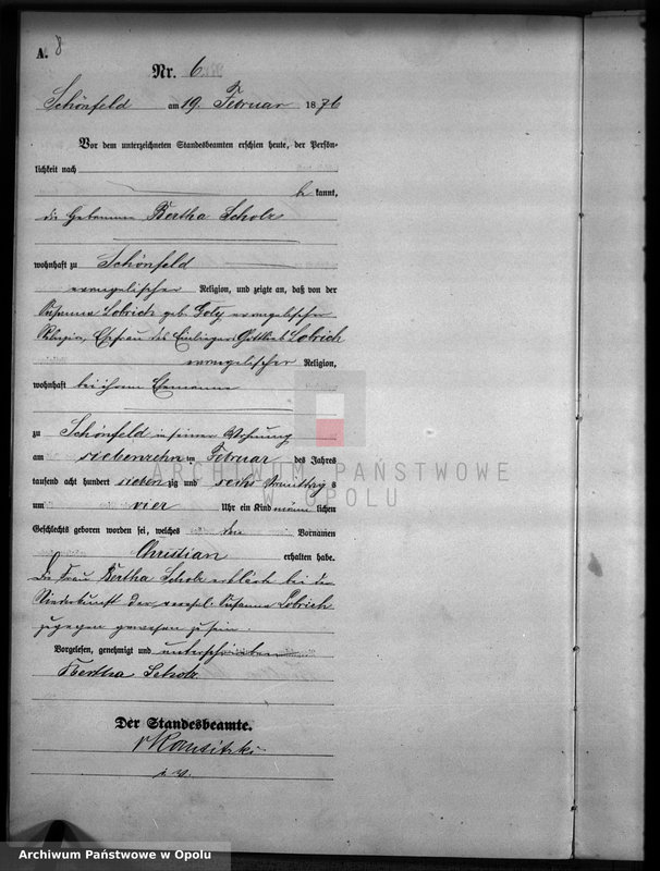 image.from.unit.number "Geburts-Haupt-Register Standesamts Schönfeld pro 1876"