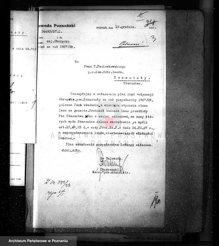 Obraz 7 z jednostki "Ordynacja Obrzycko /nadzór nad gospodarką leśną/"