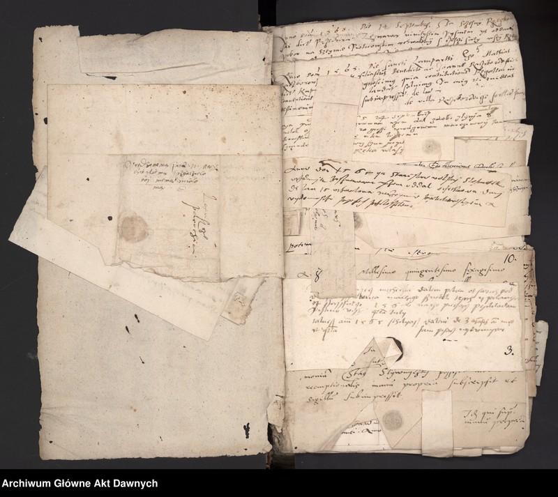 image.from.unit.number "Rekognicje poborowe z różnych województw."