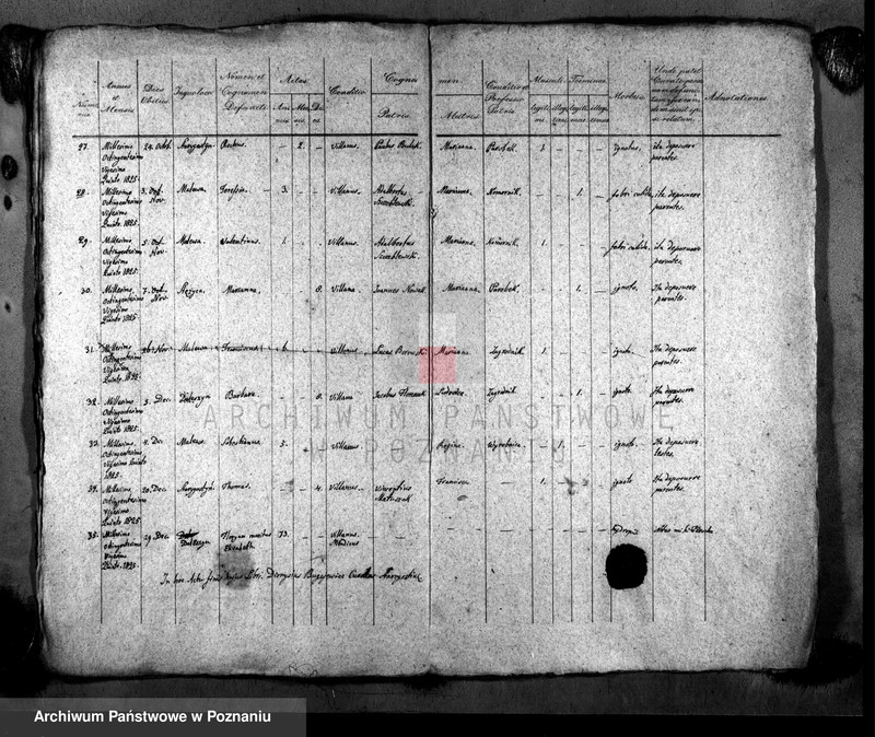Obraz 5 z jednostki "Liber mortuorum"