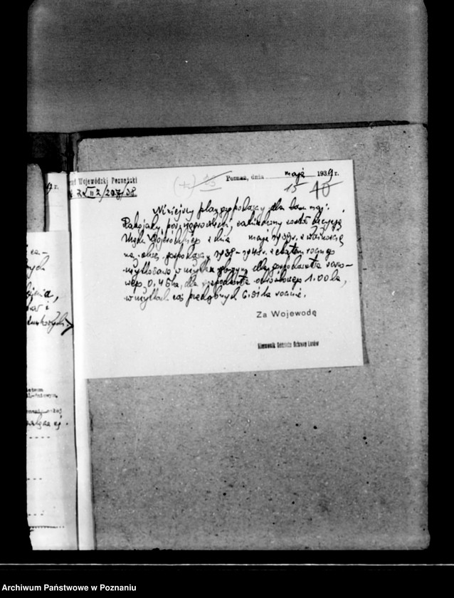 Obraz 19 z jednostki "Majętność leśna Rakojady powiat wągrowiecki"