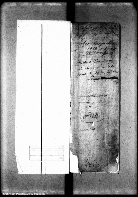 Obraz 5 z jednostki "Resignationes [protocollon]"