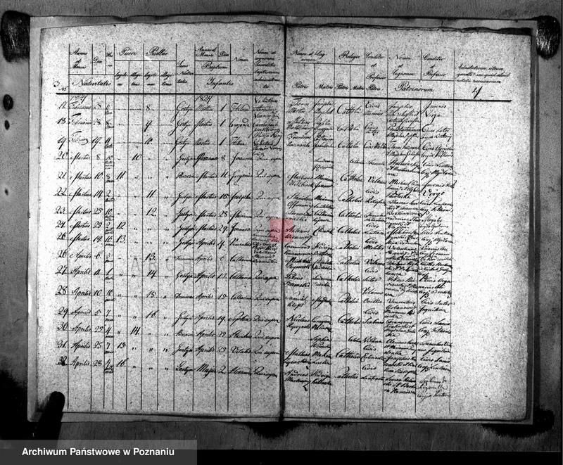 image.from.unit.number "Liber baptisatorum"