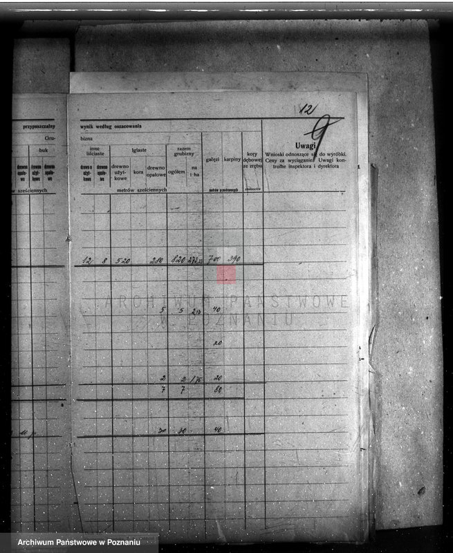 image.from.unit.number "Majętność Basków powiat krotoszyński /nadzór nad gospodarką leśną/"