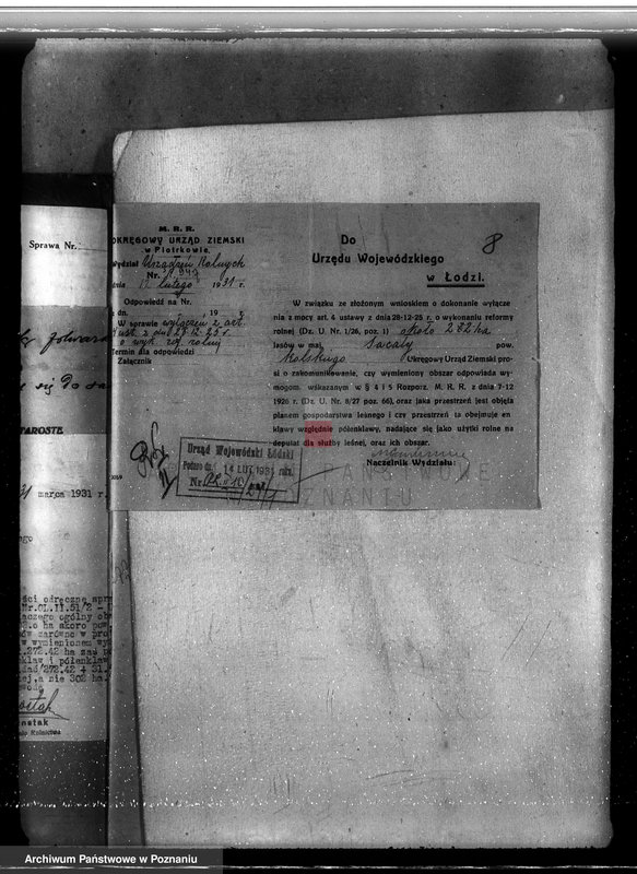 Obraz 12 z jednostki "Sprawa lasów majątku Sacały powiat kolski gmina Koźmin"