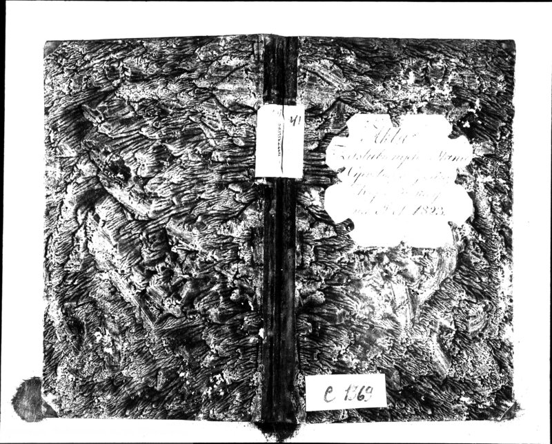 image.from.unit.number "Akta Zaślubionych Stanu Cywilnego Gminy Kopciowskiey na Rok 1823"