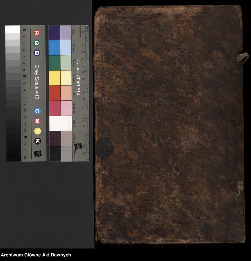 image.from.unit.number "Rejestry pogłównego generalnego z różnych województw."