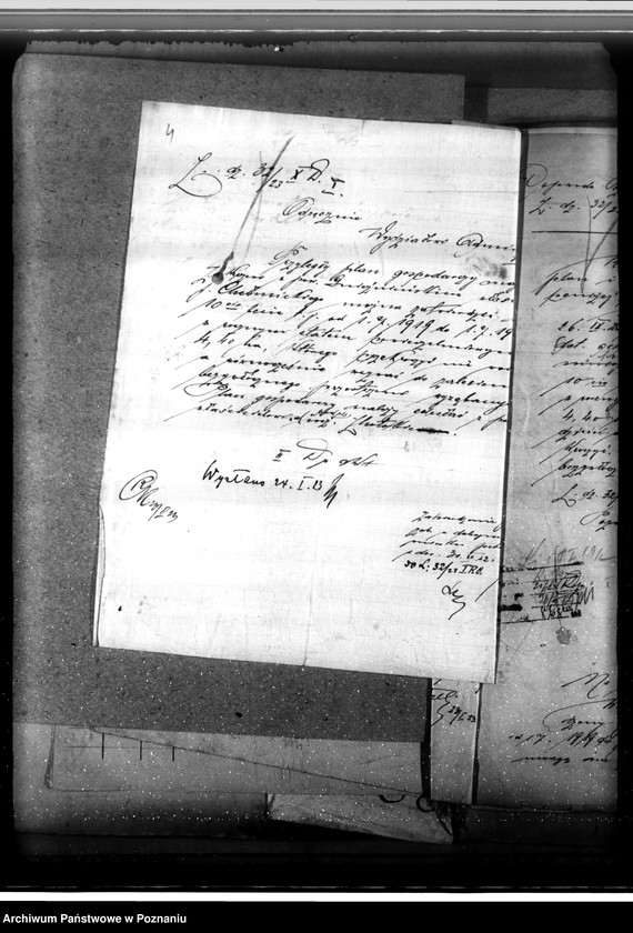 Obraz 8 z jednostki "/Nadzór nad gospodarką leśną/ majętności Zakrzewo powiecie gnieźnieńskim"