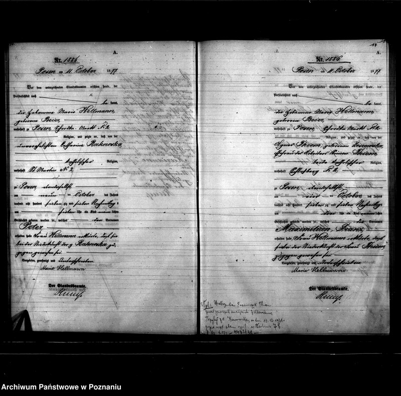 Obraz 11 z jednostki "Księga urodzeń"