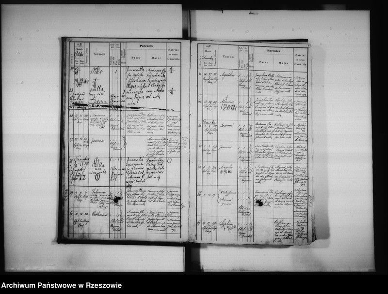 image.from.unit.number "Księga urodzeń Medynia Głogowska i Medynia Łańcucka"