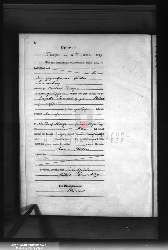 Obraz 17 z jednostki "[Księga aktów urodzenia]"