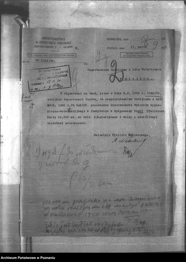 Obraz 13 z jednostki "Budżet - Państw. Naukowego Instytutu Rolniczego w Bydgoszczy rok 1921 - 1922"