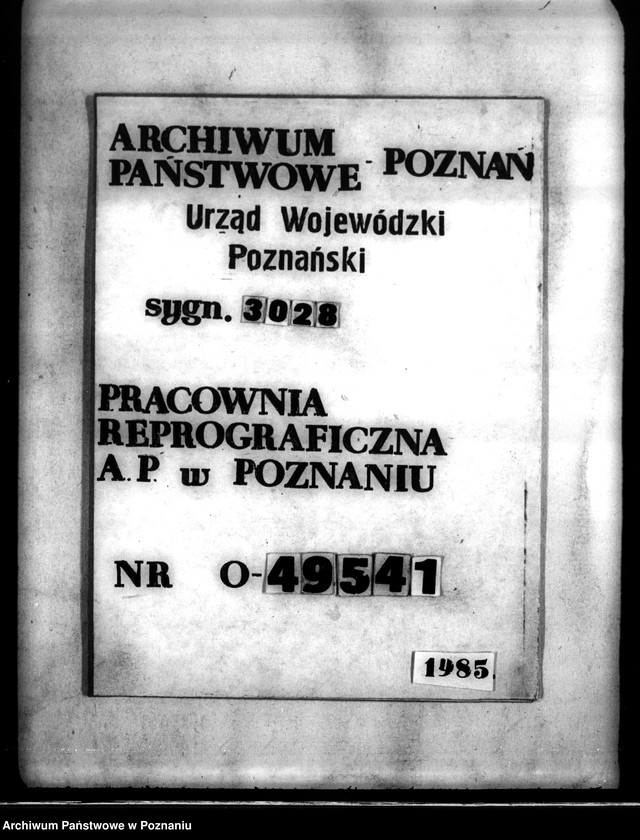 Obraz 12 z jednostki "Parcelacja prywatna majątku Nieżychowo powiatu wyrzyskiego"