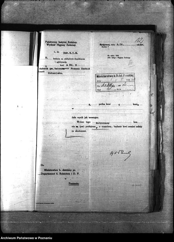 Obraz 16 z jednostki "Nosacizna - Poznań-Zachód"