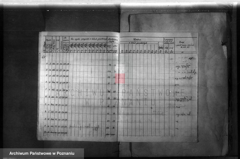 Obraz 17 z jednostki "Majętność leśna Ławica w powiecie międzychodzkim /plan urządzenia gospodarstwa leśnego/"
