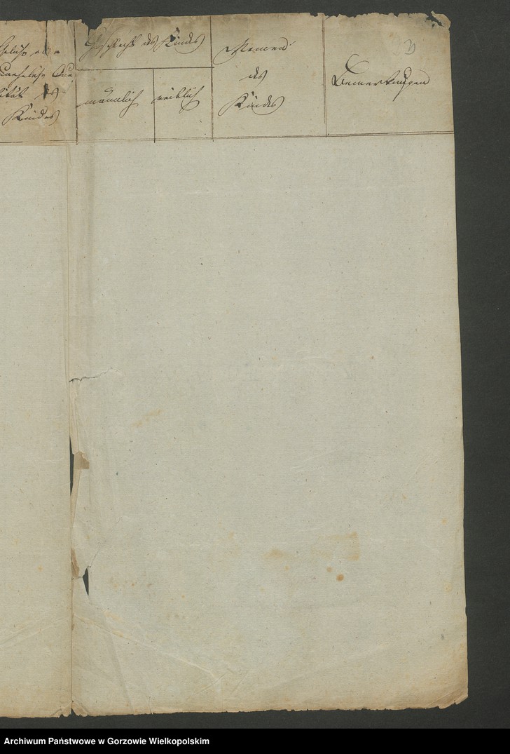 image.from.unit.number "Geburts Liste von der jüdischen Glaubensgenossen Für das Jahr 1817. Stadt Meseritz"