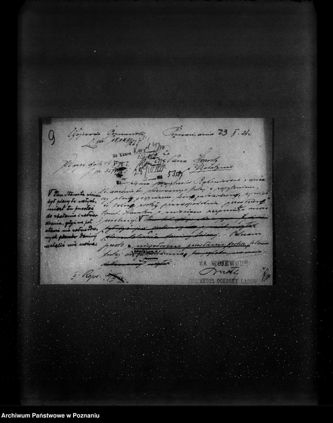 Obraz 13 z jednostki "Majętność leśna Rakoniewice powiat wolsztyński"