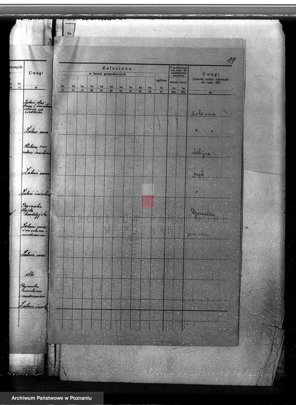 Obraz 15 z jednostki "Plan urządzania gospodarstwa leśnego dla lasu majętności Jezierzyce powiat kościański 1927-1938"